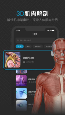 3D肌肉解剖